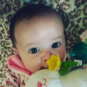 Meet your Posher, Rose